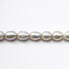 Perle coltivate d'acqua dolce, grigio, oliva, 5,5-6,5 mm x 38 cm