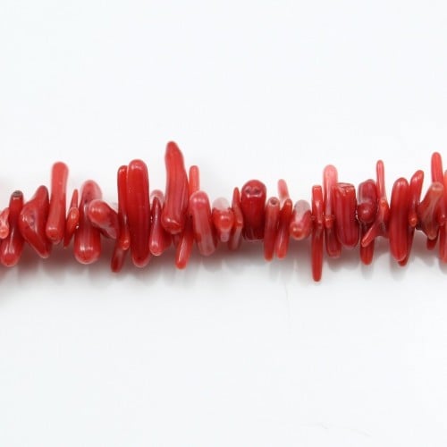 Red colored Baroque sea bamboo 16mm x 40cm