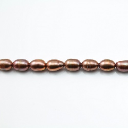 Perles de culture d'eau douce, marron, olive, 5-5.5mm X 10pcs
