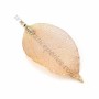 Real natural leaf stuck by "flash" gold on brass 34-45 x 65-85mm x 1pc
