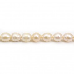 Salmon freshwater cultured pearl, olive shape 9.5-10mm x 38cm
