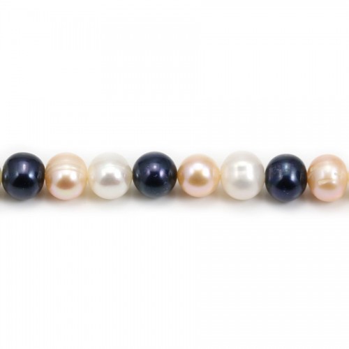 Perlas cultivadas de agua dulce, multicolor, semirredondas 7-8mm x 40cm
