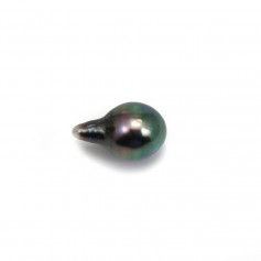 Perla coltivata di Tahiti, goccia 9-10 mm x 1 pezzo
