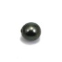 Perle de culture de Tahiti de forme semi-ronde 12-13mm x 1pc