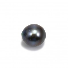 Perle de culture de Tahiti, semi-ronde, 13-14mm x 1pc