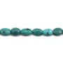 Turquoise ovale 8-15x10-23mm x 40cm
