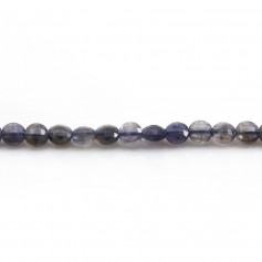 Cordiérite (Iolite) in round flat faceted shaped 4mm x 39cm