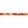 Cornaline orange, in the shape of a faceted roundel, in size of 2 * 3mm x 39cm
