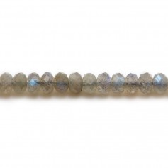 Labradorite, forma rotonda sfaccettata, 4 * 6 mm x 8 pz