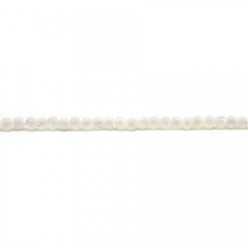 Nácar blanco redondo 2 mm x 39 cm