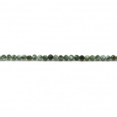 Seraphinite de couleur verte, de forme ronde facette, 2mm x 38cm