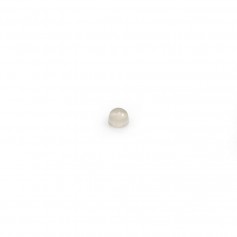 Cabochon d'agate grise, de forme ronde, 2mm x 10 pcs