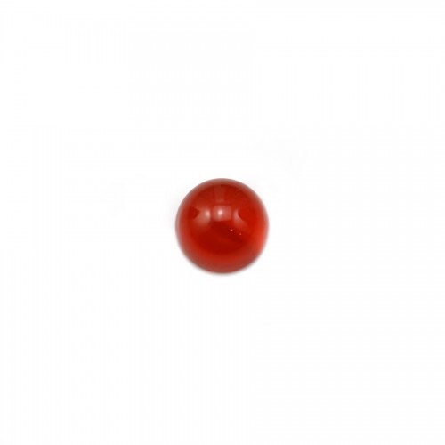 Agata rossa rotonda cabochon 6mm x 5pz