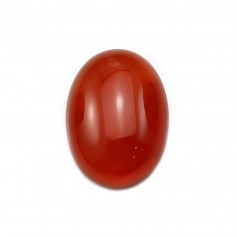 Cabochon agate rouge ovale 13x18mm x 2pcs