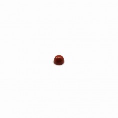 Cabochon jaspe vermelho, forma redonda, 2mm x 4pcs