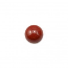 Cabujón de jaspe rojo, forma redonda, 8mm x 4pcs