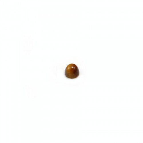 Tiger eye on cabochon, in round shape, 2mm x 4pcs