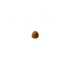 Tiger eye on cabochon, in round shape, 2mm x 4pcs