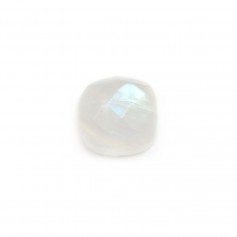 Cabochon moonstone squares faceted 10mm x 1pc