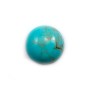 Cabochon Turquoise rond 16mm x1pc