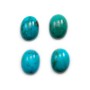 Cabochon of oval-shaped turquoise, 13 * 18mm, x 1pc
