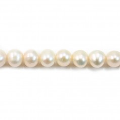 Perles de culture d'eau douce, blanche, ronde, 7-7.5mm x 39cm