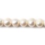 White round freshwater pearl 10-11mm x 40cm