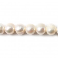 Perles de culture d'eau douce, blanche, ovale/irrégulière, 9-11mm x 5pcs