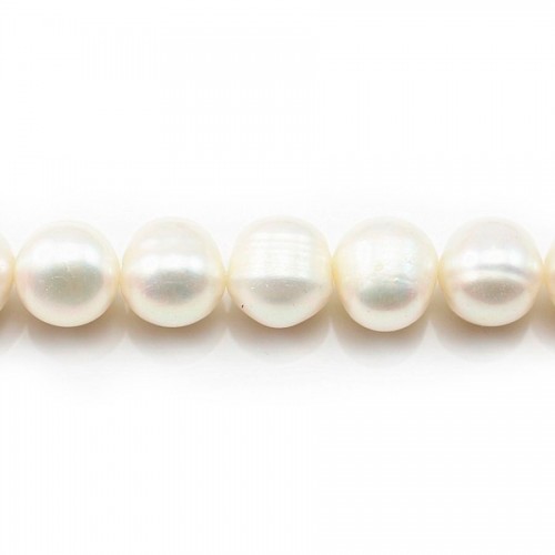 Perles d'eau douce blanches sur fil 11-12mm x40cm