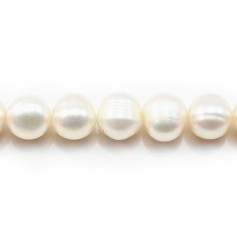 Perles de culture d'eau douce, blanche, ovale/irrégulière, 10-12mm x 2pcs