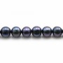 Perles de culture d'eau douce, bleue foncée, ronde, 8-9mm x 4pcs