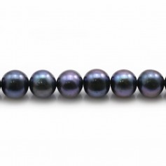 Perles de culture d'eau douce, bleue foncée, semi-ronde, 7-8mm x 40cm
