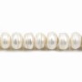 White flattened round freshwater pearls 10.5-12mm x 2pcs