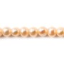 Perles de culture d'eau douce, saumon, ovale, 6-7mm x 4pcs
