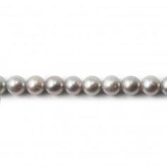 Perlas cultivadas de agua dulce, grises, semirredondas, 5,5-6,5 mm x 38 cm
