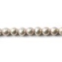 Perle coltivate d'acqua dolce, grigie, ovali, 6-7 mm x 39 cm