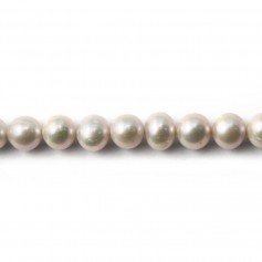 Perles de culture d'eau douce, gris, ovale, 6-7mm x 4pcs