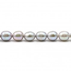 Perle coltivate d'acqua dolce, grigio, oliva, 6-7 mm x 36 cm