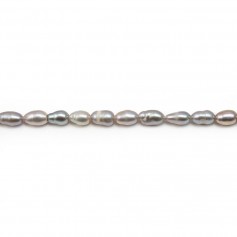 Perles de culture d'eau douce, gris, olive, 4-4.5mm x 35cm
