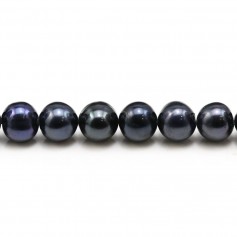Perles de culture d'eau douce, bleue foncée, semi-ronde, 8-9mm x 4pcs