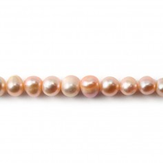 Perle coltivate d'acqua dolce, salmone, ovali, 5-5,5 mm x 5 pezzi