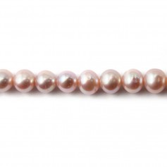 Perle coltivate d'acqua dolce, malva, rotonde, 7 mm x 38 cm