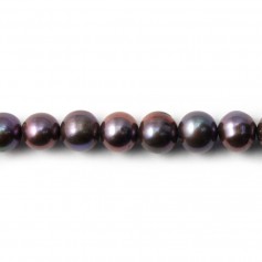 Perle coltivate d'acqua dolce, viola, rotonde, 7-8 mm x 40 cm