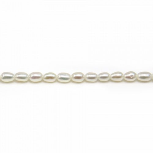 White ovale freshwater pearl 2.5x4mm X 10pcs