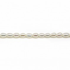 White ovale freshwater cultured pearl 2.5x4mm x 10pcs