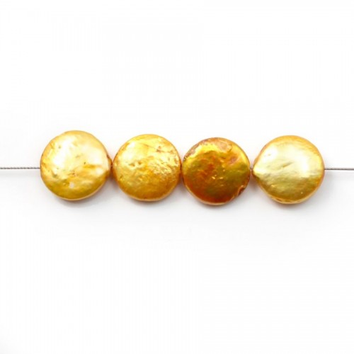 Golden Freshwater Pearl round plate12mm X 2pcs