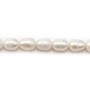 White oval freshwater pearls on thread 10-11mm x 39cm