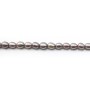 Silvery grey oval freshwater pearls on thread 4.5-5mm x 36cm