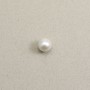 Perle de culture d'eau douce white ronde 13.5-14mm x 1pc