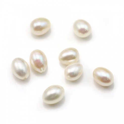 Pearl freshwater blanc ovale 8mm demi tron 0.6mm x 1 pc